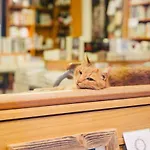 Ferien Beim Buchhaendler اوكرموند