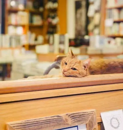 Ferien Beim Buchhaendler اوكرموند