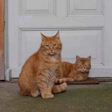 Ferien Beim Buchhaendler * Ueckermünde